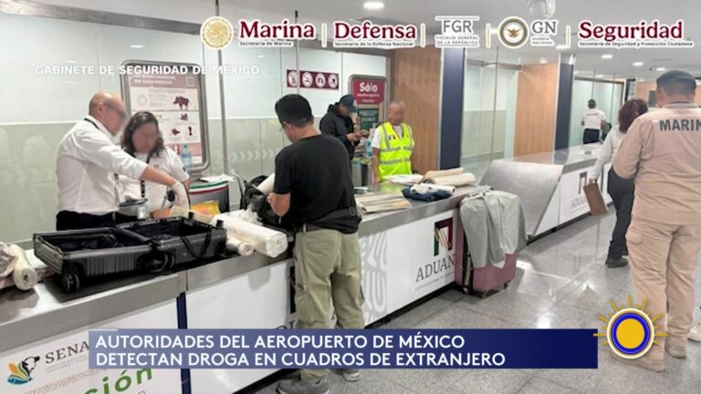 Detección de Narcotráfico en el AICM: Arte como Método de Ocultamiento