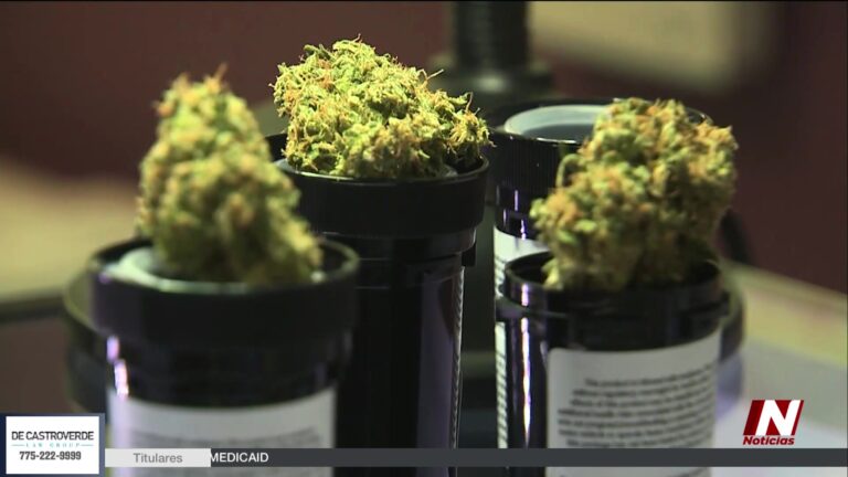 El Impacto de la Reclasificación Federal del Cannabis en Nevada