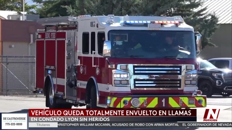 Incendio Vehicular en Lyon: Acción Oportuna de Bomberos Impide Daños Mayores