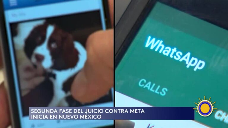 Juicio Contra Meta En México: Plataformas Bajo La Lupa Por Protección A Menores