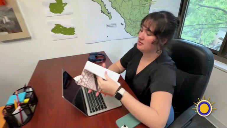 Laboratorio Social De La Universidad Americana Analiza La Migración Y Su Impacto