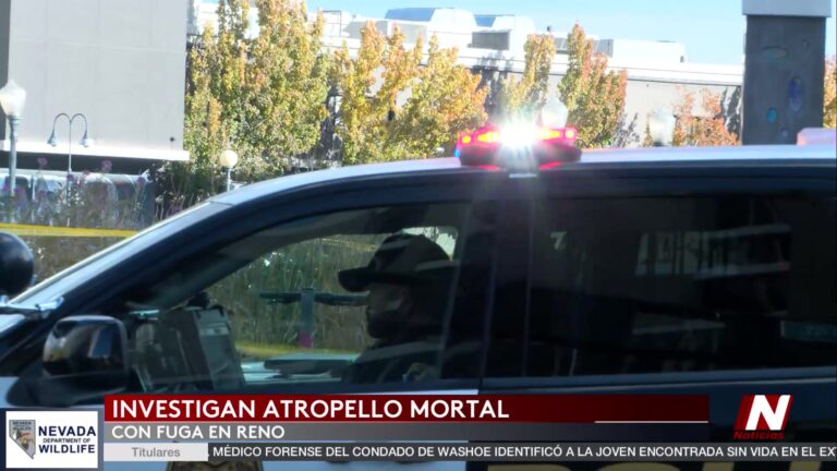 Atropello fatal: $1,500 de recompensa por conductor que huyó tras matar a ciclista en Reno