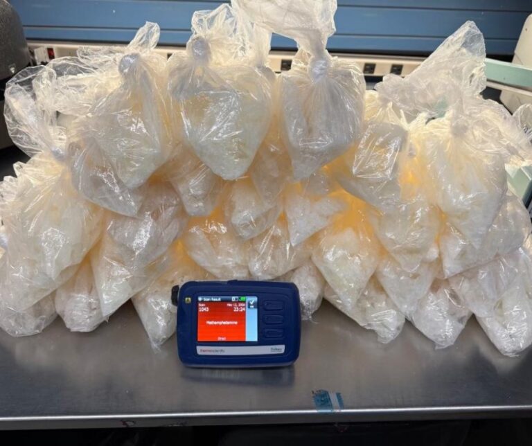 Metanfetamina incautada: Unidad K9 de WCSO arresta a sospechoso con 29 libras de droga