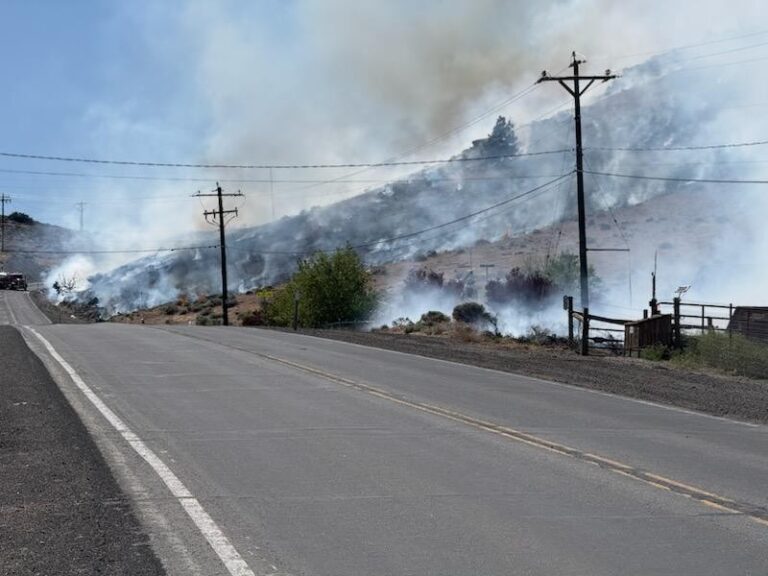 Incendio: Un equipo de respuesta rápida contiene las llamas cerca de Golden Valley