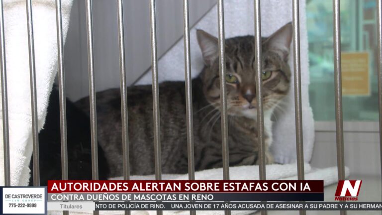 Estafa Telefónica En Reno: Policía Alerta Sobre Mensajes Falsos Para Obtener Dinero