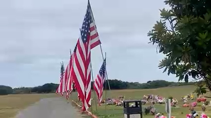 Cementerio Castroville: Homenaje a Soldados Caídos con Banderas Estadounidenses