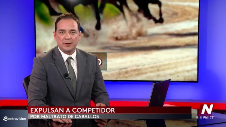 Ataque a Caballos en Las Vegas: Adolescente Arrestada por Crueldad Animal