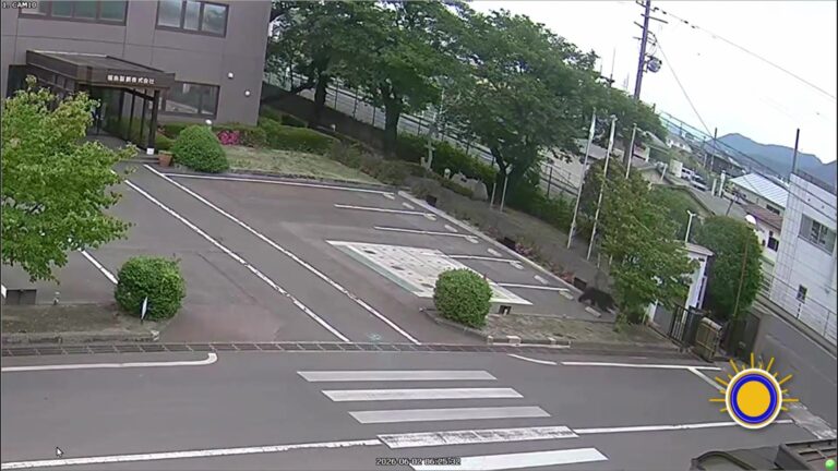 Ataque De Oso Deja Cuatro Heridos En Fábrica De Fukushima, Japón