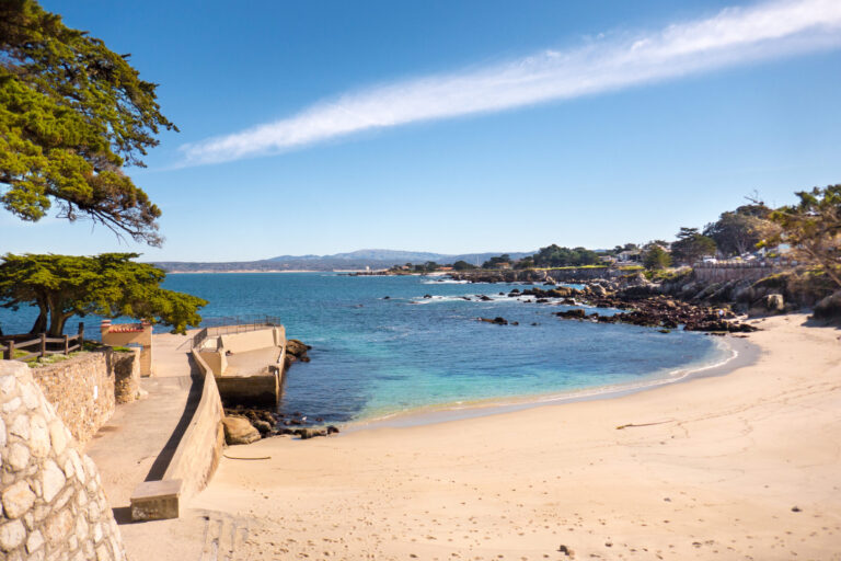 Advertencia Continúa: Tiburones en Lovers Point tras Reapertura de la Playa