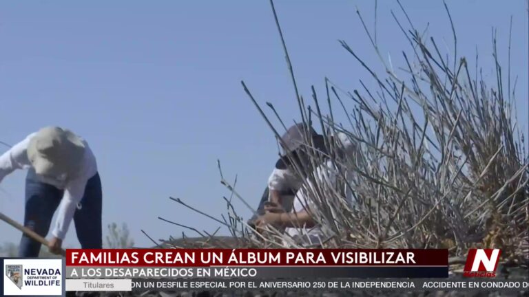 Desaparecidos México: Figuritas De Album Mundialista Muestran A Personas Desaparecidas En México