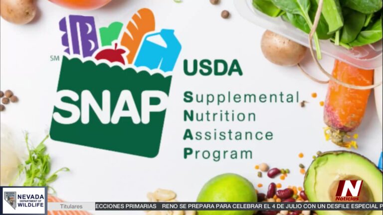 El Impacto del Programa Summer EBT en Nevada