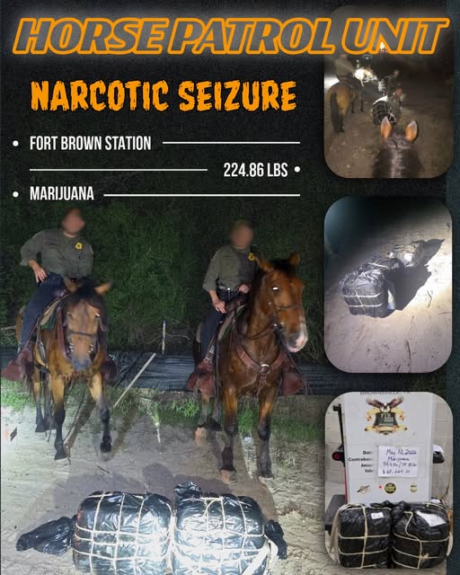 Contrabando de Marihuana Desmantelado por Patrulla Fronteriza en Brownsville