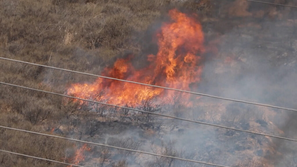 Incendios Forestales en San Diego: Un Llamado Urgente a la Prevención y Preparación