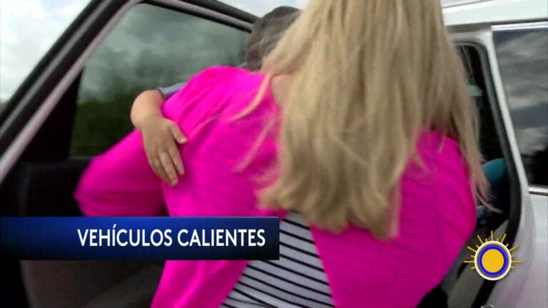 Niños Olvidados: Seis Niños Han Muerto Olvidados En Vehículos Este Año En EE.UU.