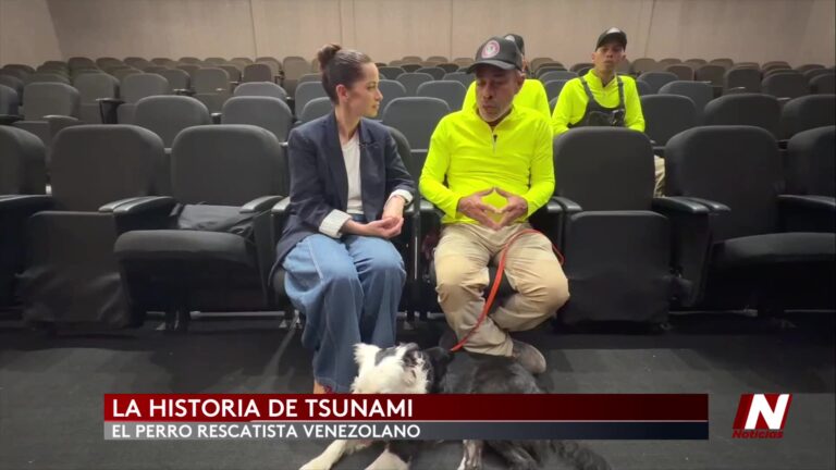 Incendios Nevada: Preparan A Dueños De Mascotas Ante Temporada Alta De Incendios En Nevada