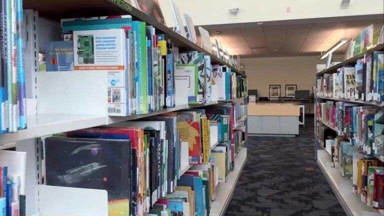 Lectura de verano en Las Vegas: niños y jóvenes pueden ganar libros, pizza y alitas
