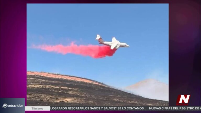 Bomberos Luchan Contra Incendio Forestal En Condado Humlott