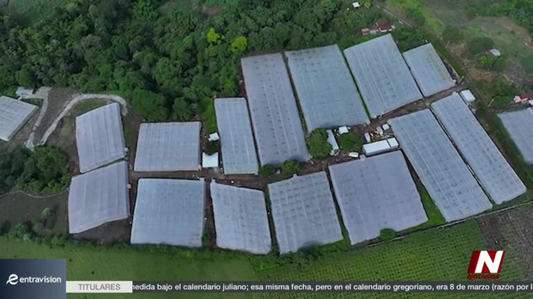 El Niño en El Salvador impulsa el uso de drones agrícolas y semillas mejoradas para proteger la producción