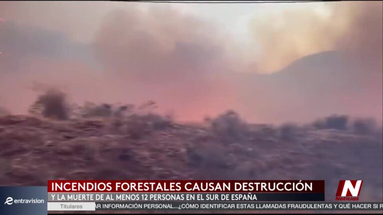 Doce Muertos Tras Incendios Forestales Descontrolados En El Sur De España