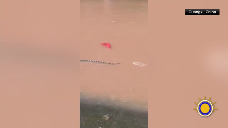Tifón Maysak Desencadena Inundaciones Mortales En Guangxi, China