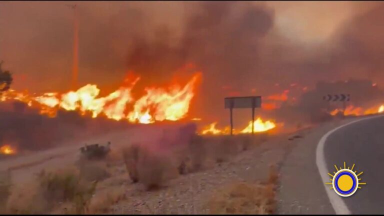 Incendios Forestales Dejan Doce Muertos En El Sur De España