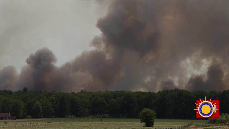 Incendio París: Incendio Forestal Al Sur De París: Alarma En Francia Por Ola De Calor