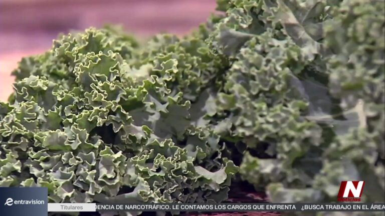 Brote de Cyclospora en EE. UU.: Alerta sanitaria por parásito en alimentos frescos