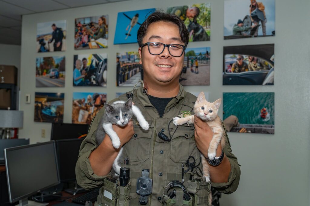 Gatitos sobrevivientes de un incendio son adoptados por los policías que los rescataron