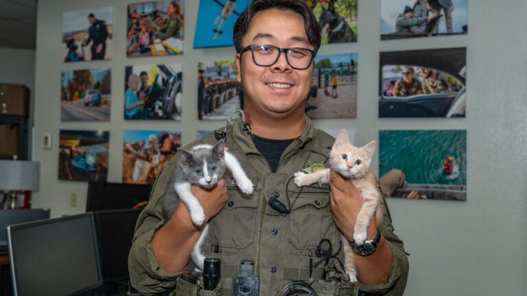 Gatitos sobrevivientes de un incendio son adoptados por los policías que los rescataron
