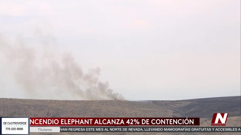 Avance En El Combate Al Incendio Elephant Cerca De Loyalton, California