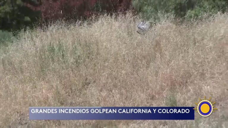Incendios forestales y ola de calor elevan la alerta en Estados Unidos y Europa