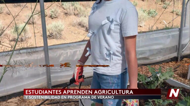 Estudiantes De Carson City Participan En Programa De Agricultura Sostenible