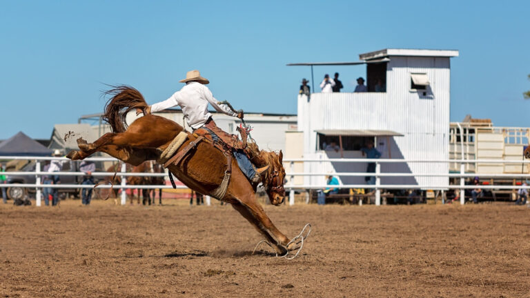 Rodeo de California en Salinas arranca con la monta de toros y un fuerte impacto económico