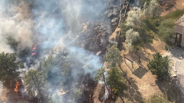 Incendio forestal en el Condado Douglas: una ardilla habría provocado el fuego que amenazó viviendas