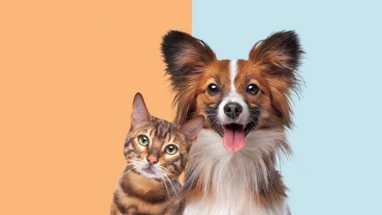 CVS ofrecerá medicamentos para perros y gatos en sus farmacias en Estados Unidos