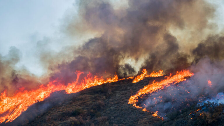 Incendio forestal en Pleasanton provoca evacuaciones en Alameda por el avance de Little Fire