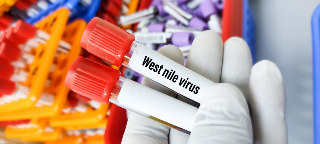 Confirman los primeros casos positivos de virus del Nilo Occidental en Nuevo México