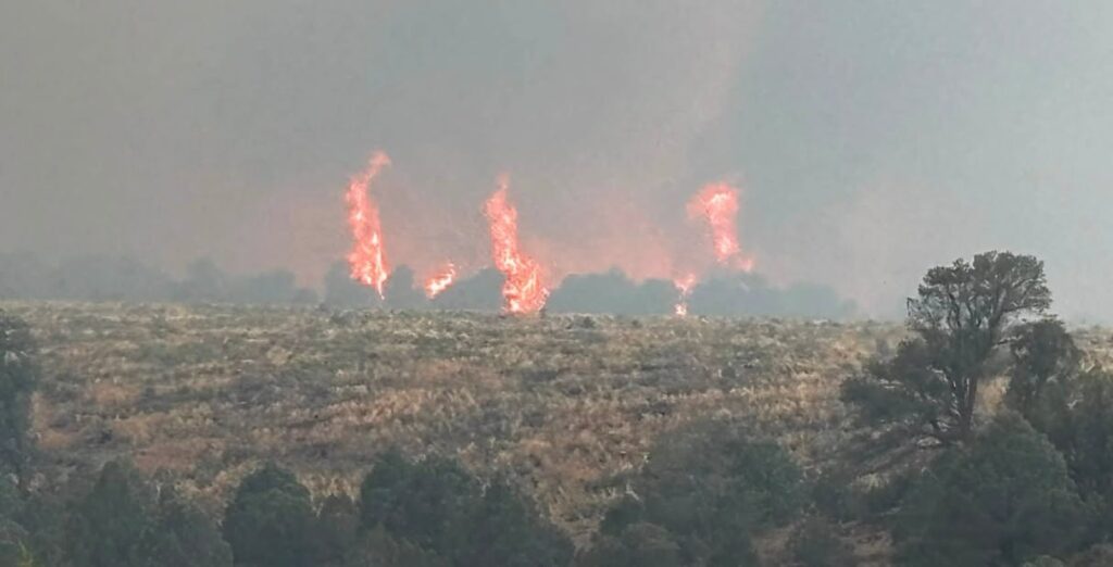 Incendio voraz amenaza Nevada y fuerza la movilización de 500 bomberos en Ely