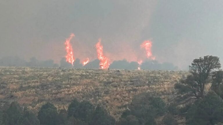 Incendio voraz amenaza Nevada y fuerza la movilización de 500 bomberos en Ely