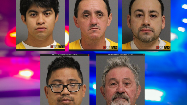 Cinco arrestados en operativo encubierto contra presuntos depredadores sexuales en el Condado Mesa