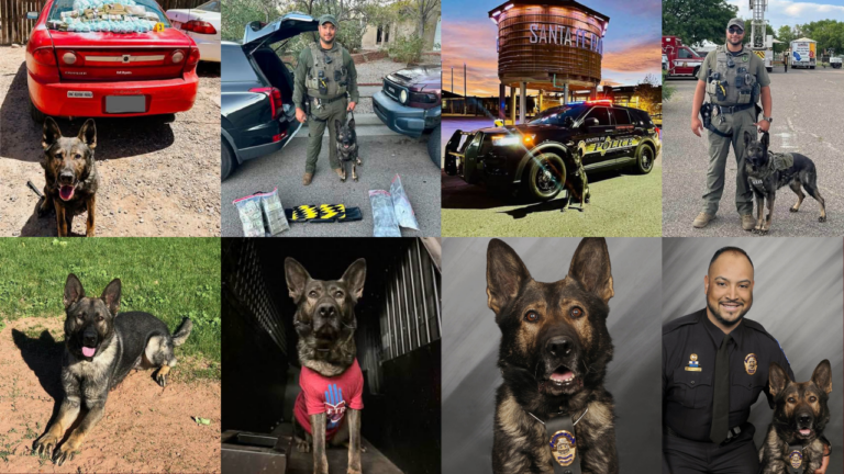 Se retira perro policía K9 “Ayke” tras seis años de servicio en Santa Fe