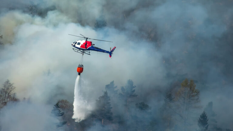 Reabren parques estatales de Big Sur tras avance en combate a incendios