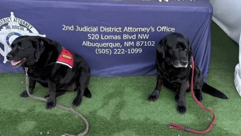 Los perritos de apoyo del Distrito de Bernalillo invitan a la comunidad al Balloon Fiesta de Albuquerque