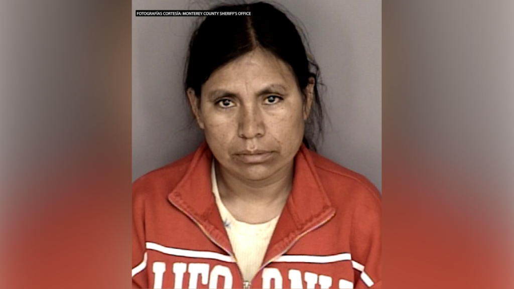 Arrestan a madre de adolescente cuyo bebé fue encontrado muerto cerca de Moss Landing