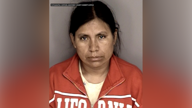 Arrestan nuevamente a madre vinculada al caso de recién nacido hallado muerto cerca de Moss Landing